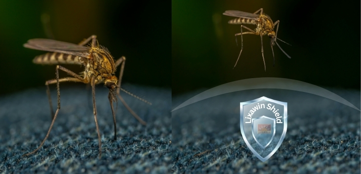 FUNCTIONAL FINISHES : Mosquito Repellent Finish