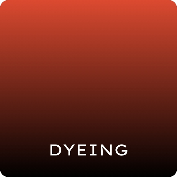 Garments (Denim/Non-Denim) : Dyeing