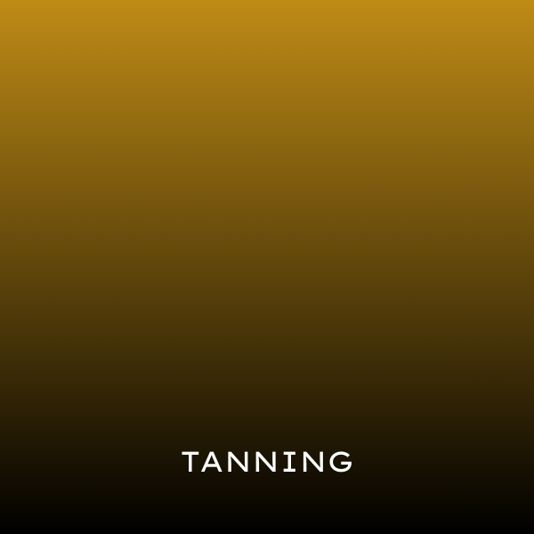 LEATHER : Tanning