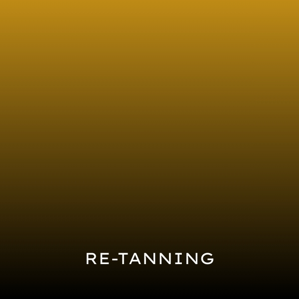 LEATHER : Re-Tanning